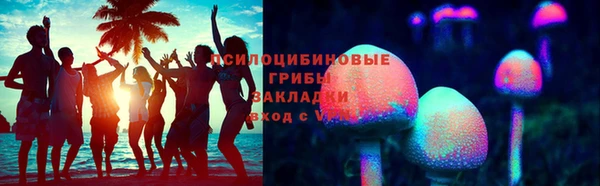 герыч Алексин