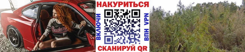 Каннабис тримм  Стародуб 
